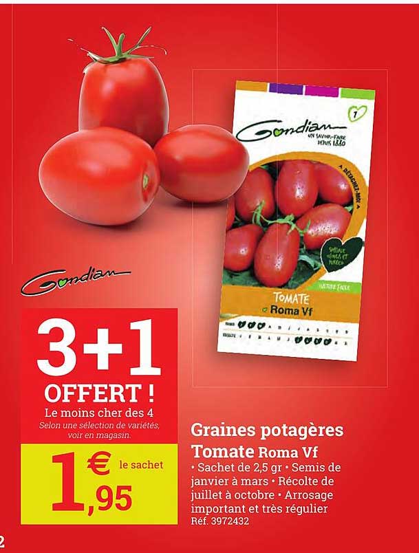 graines potagères tomate roma vf