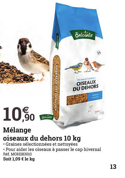 mélange oiseaux du dehors 10 kg