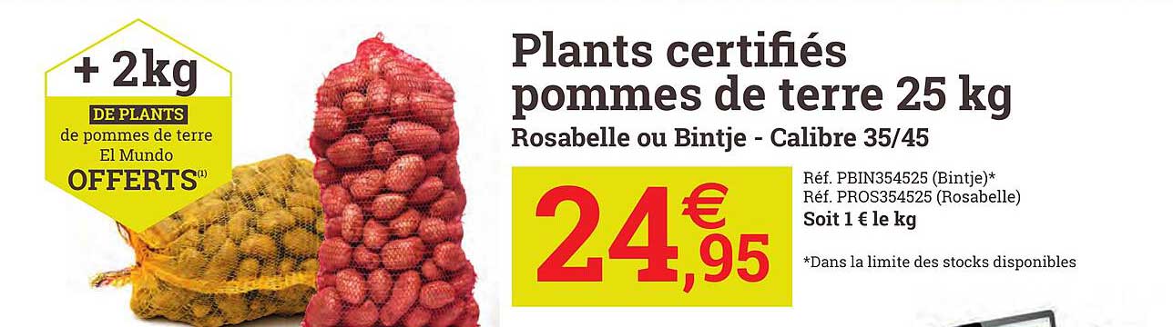 plants certifiés pommes de terre 25 kg