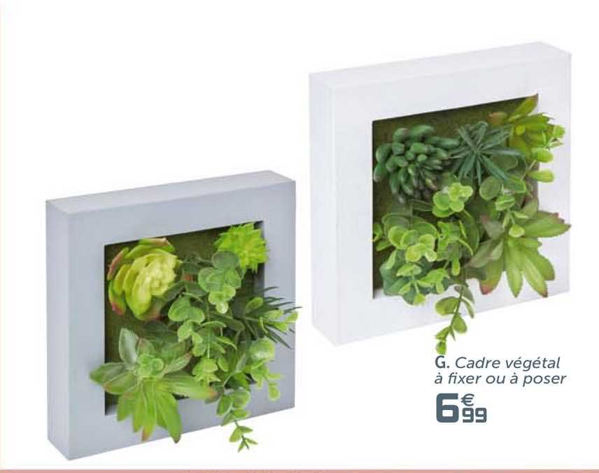 cadre végétal à fixer ou à poser