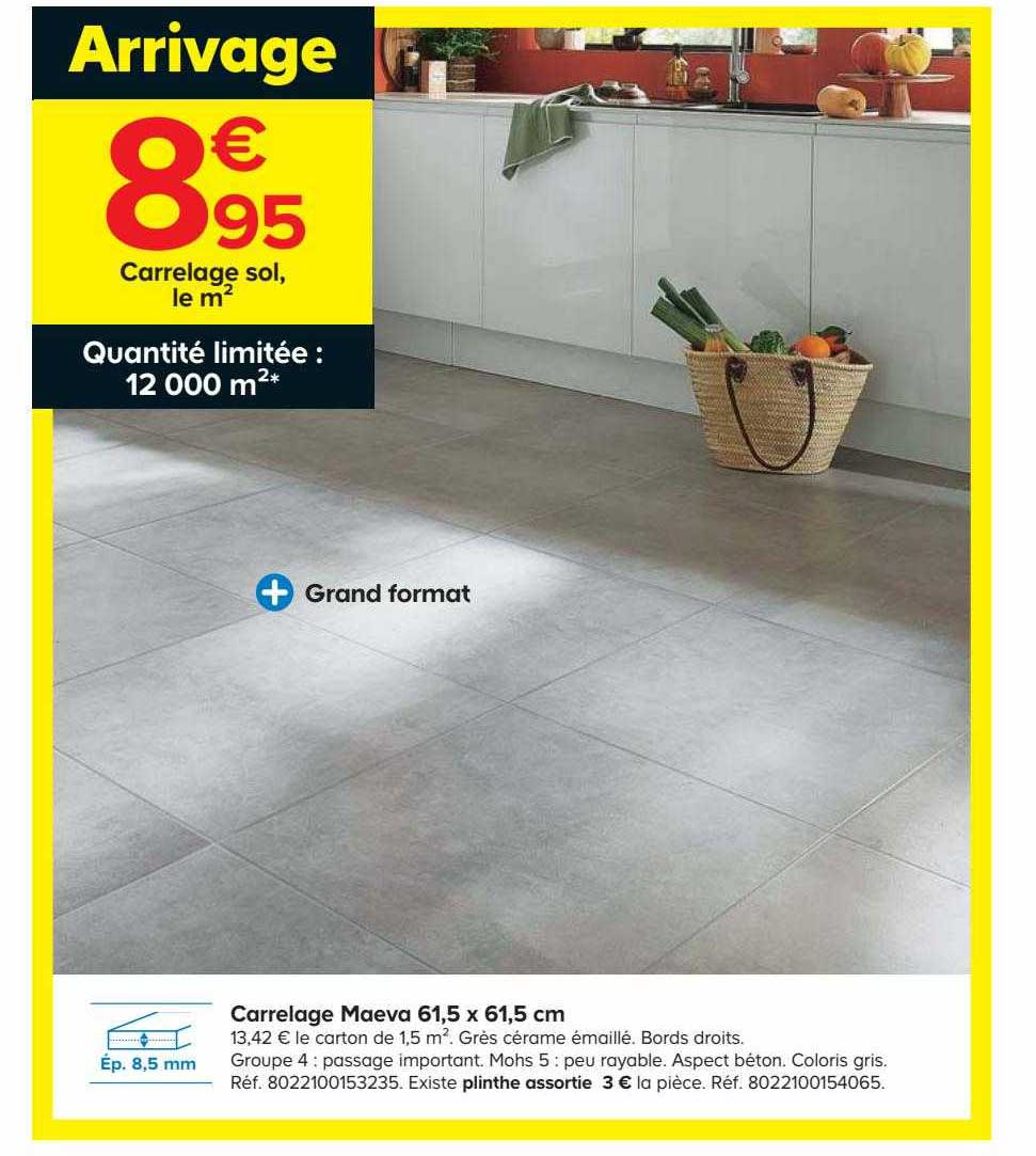 carrelage maeva 61,5 x 61,5 cm