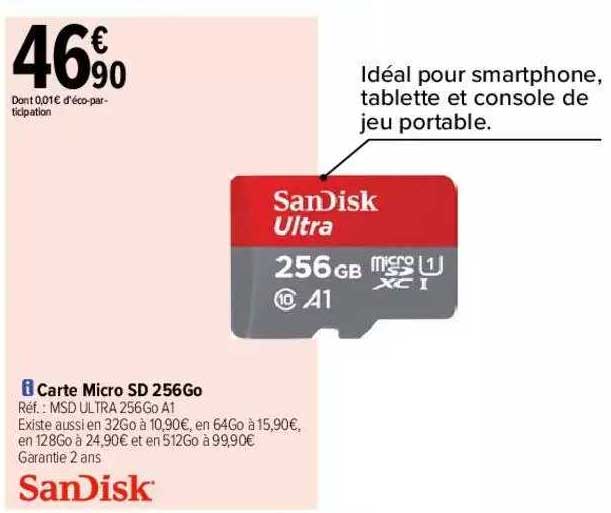 carte micro sd 256Go sandisk