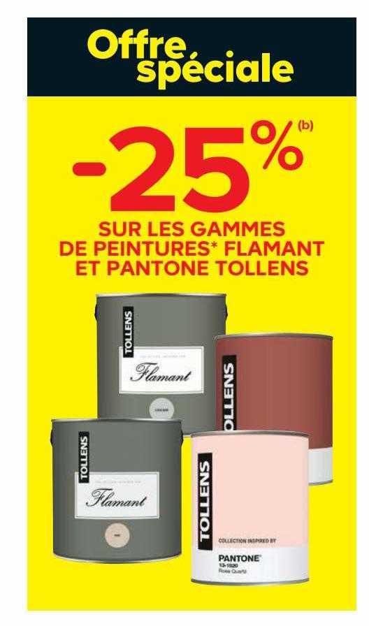 les gammes de peintures flamant et pantone tollens
