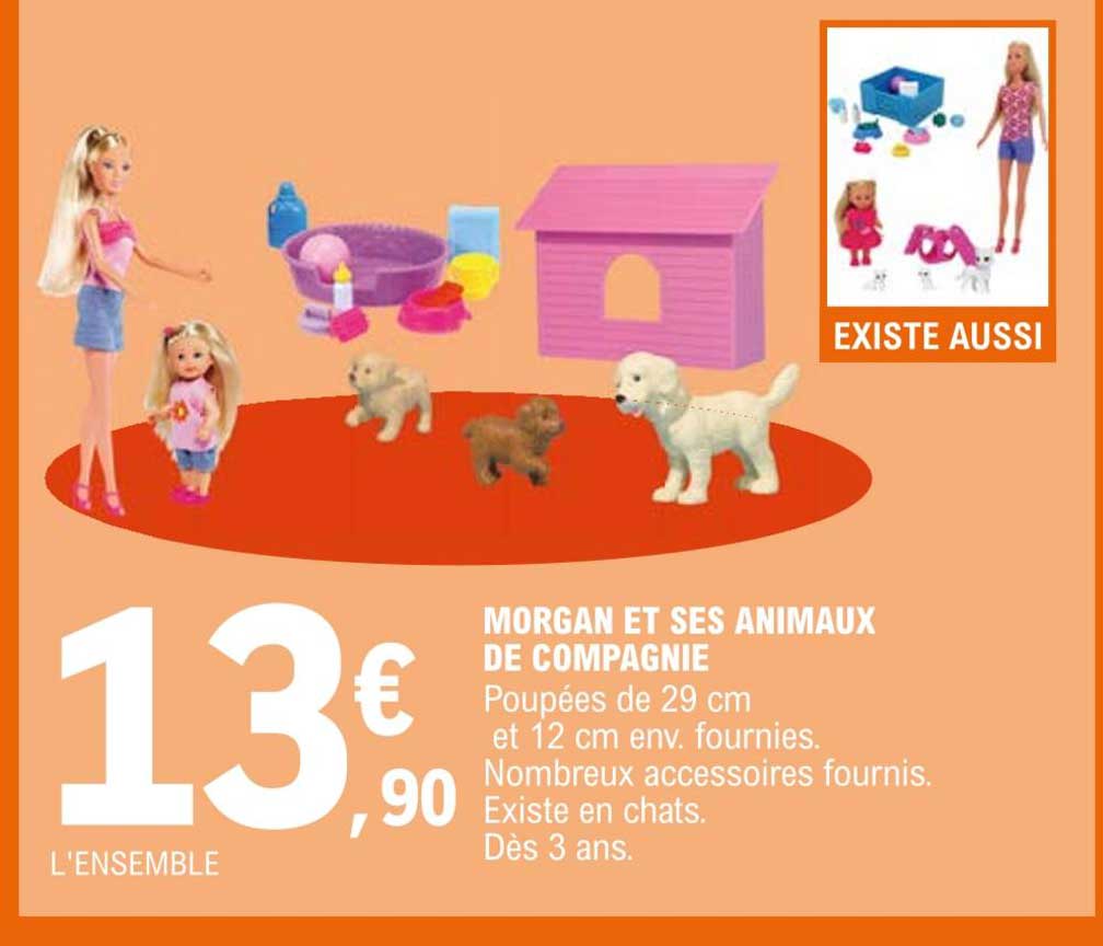 morgan et ses animaux de campagnie