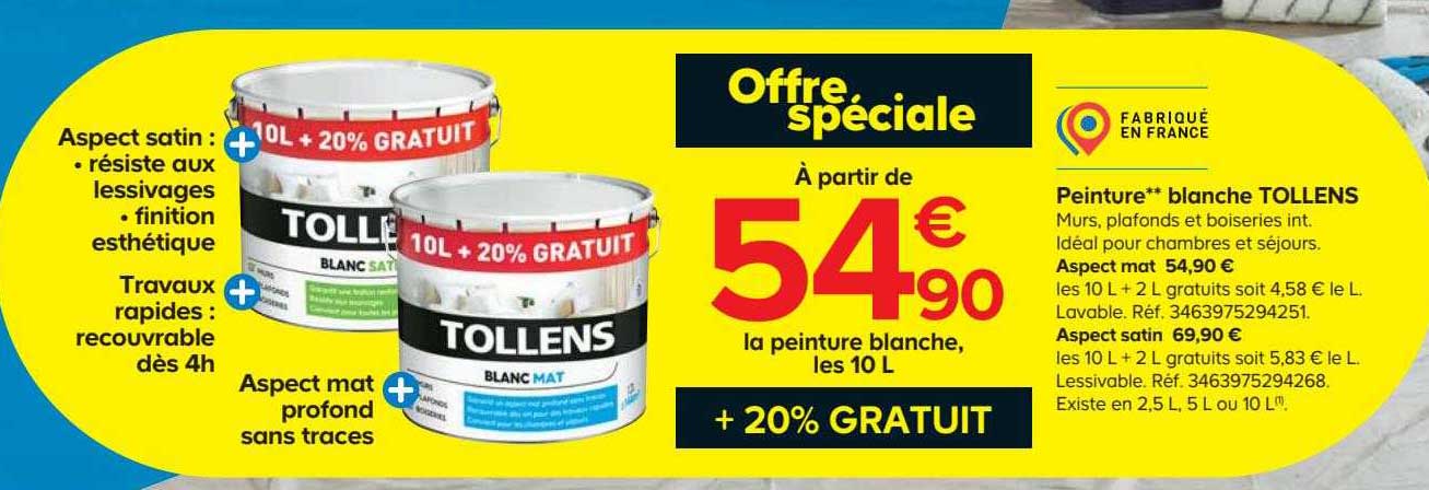 Peinture Blanche Tollens