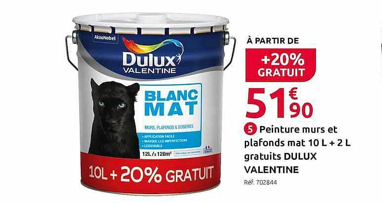 peinture murs et plafonds mat 10 l + 2 l gratuits dulux valentine
