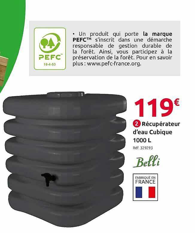 récupérateur d'eau cubique 1000 l