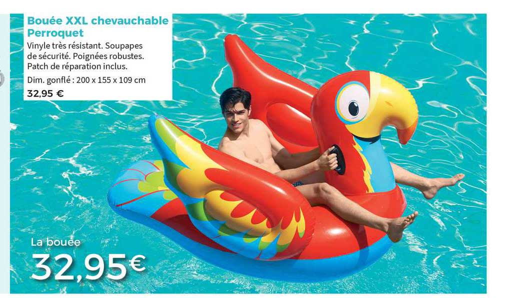 bouée xxl chevauchable perroquet