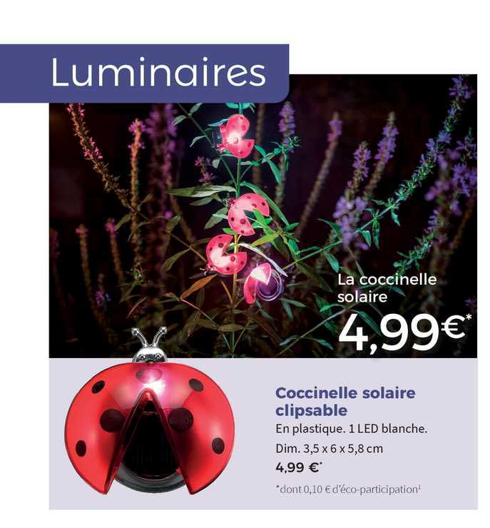 Coccinelle Solaire Clipsable