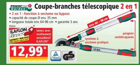 coupe-branches télescopique 2 en 1