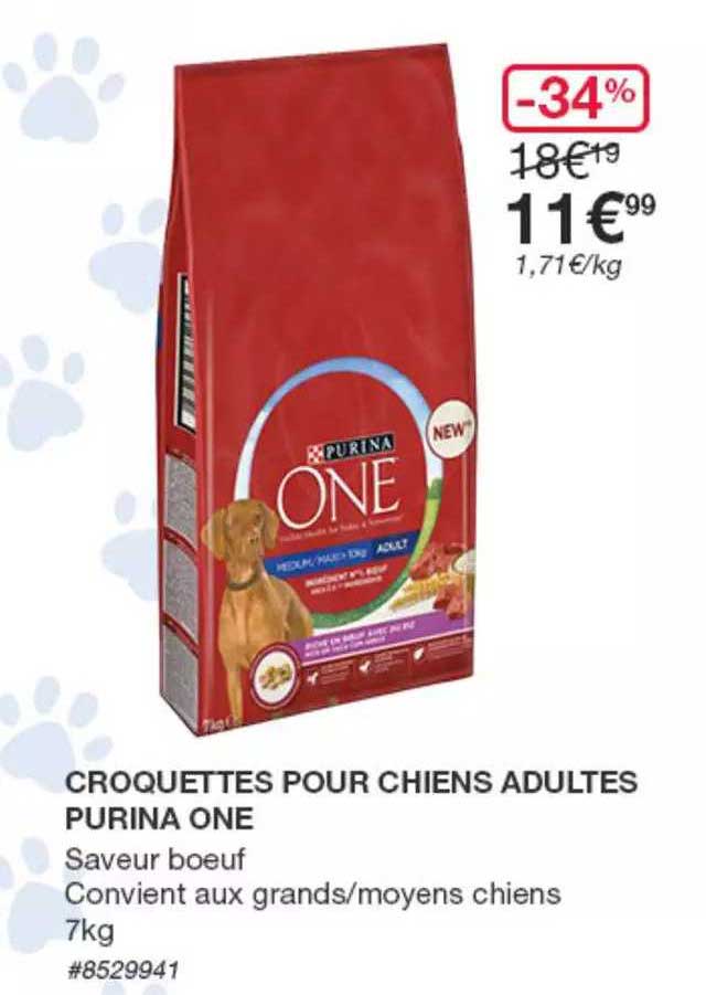 Croquettes Pour Chiens Adultes Purina One
