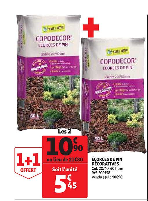 écorces De Pin Décoratives