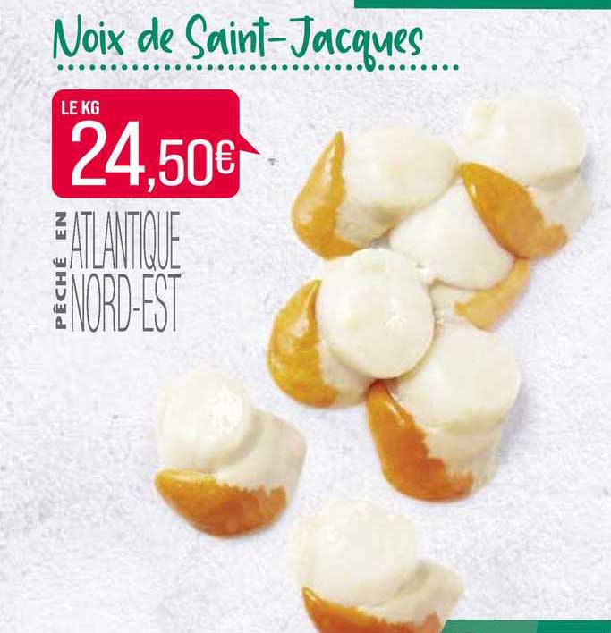 noix de saint-jacques