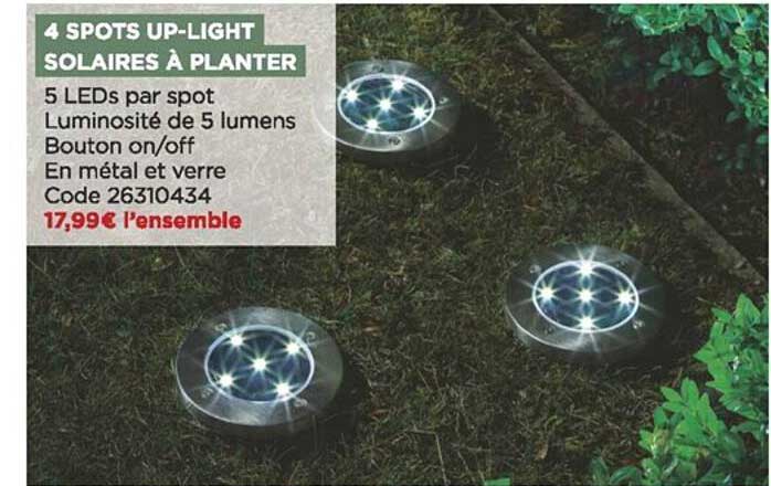 4 spots up-light solaires à planter
