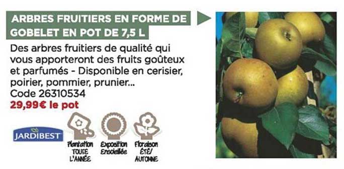 arbres fruitiers en forme de gobelet en pot de 7,5 l jardibest