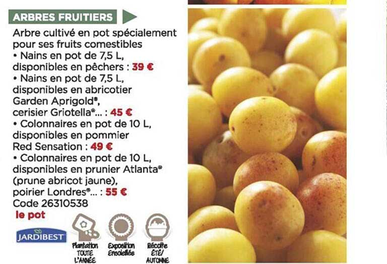 arbres fruitiers jardibest