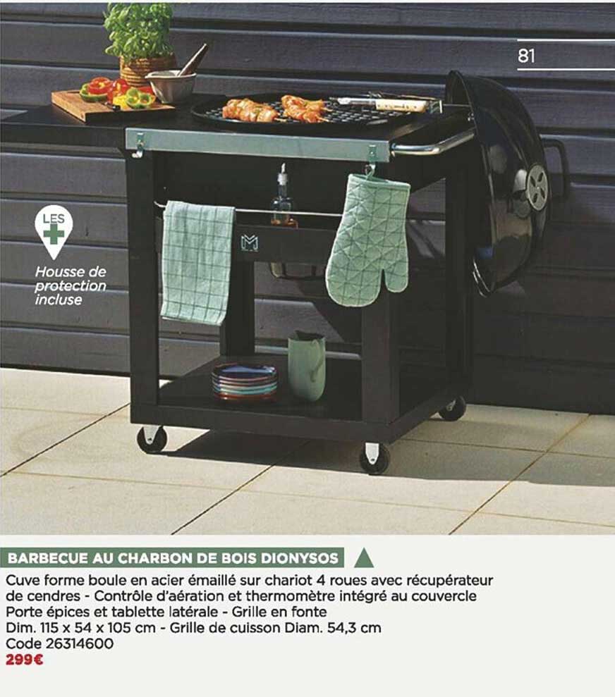 Barbecue Au Charbon De Bois Dionysos