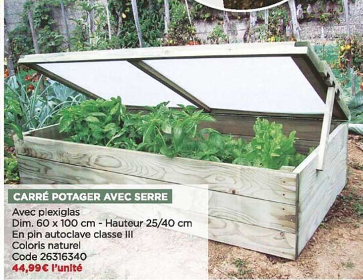 Carré Potager Avec Serre