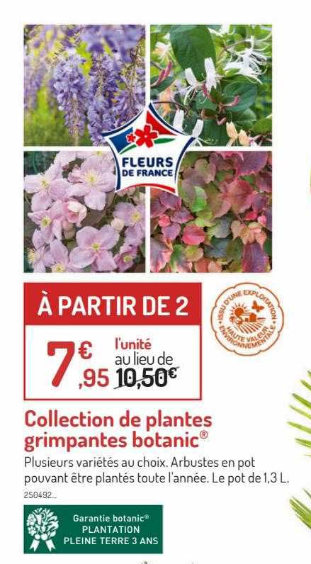 collection de plantes grimpantes botanic