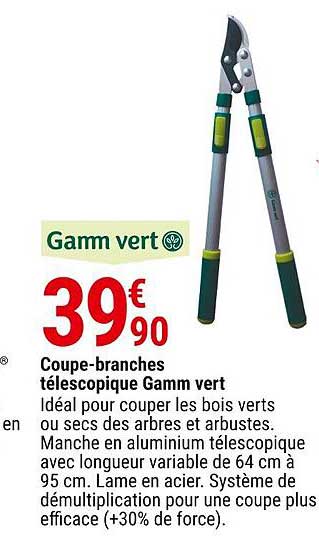 coupe-branches télescopique gamm vert