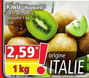 Kiwis "hayward"