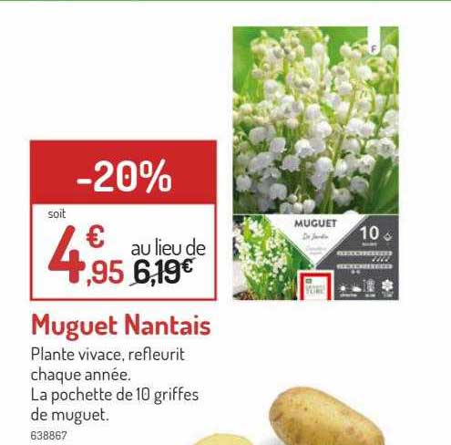 Muguet Nantais