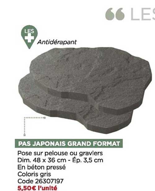 pas japonais grand format