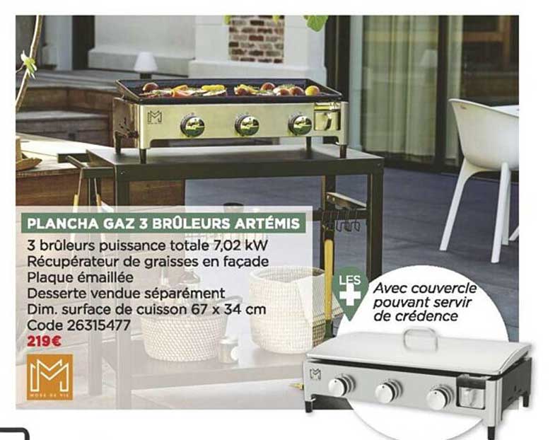 plancha gaz 3 brûleurs artémis