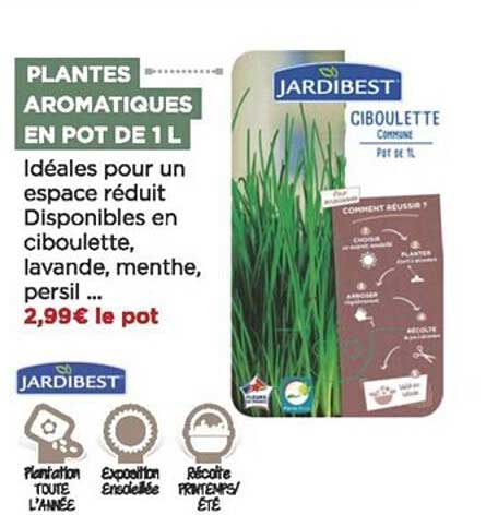 plantes aromatiques en pot de 1 l jardibest