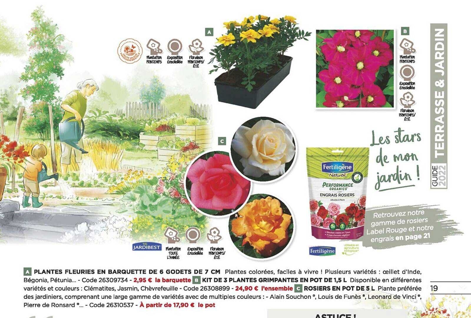 plantes fleuries en barquette de 6 godets d 7 cm, kit de 3 plantes grimpantes en pot de 1,5 l, rosiers en pot de 5 l
