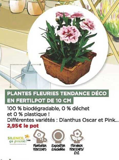 plantes fleuries tendance déco en fertilpot de 10 cm
