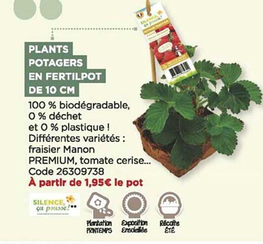 Plants Potagers En Fertilpot De 10 Cm