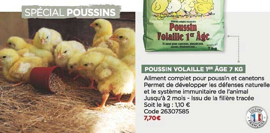 poussin volaille 1er âge 7 kg