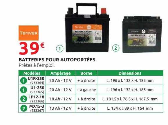 batteries pour autoportées temver