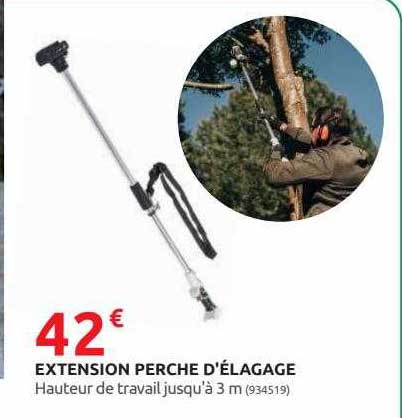 extension perche d'élagage