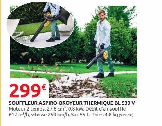 souffleur aspiro-broyeur thermique bl 530 v