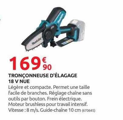 tronçonneuse d'élagage 18v nue