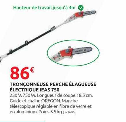 tronçonneuse perche élagueuse électrique ieas 750