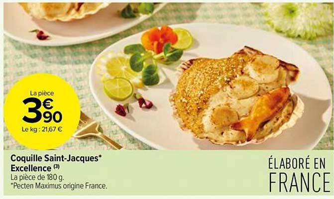 coquille saint-jacques excellence