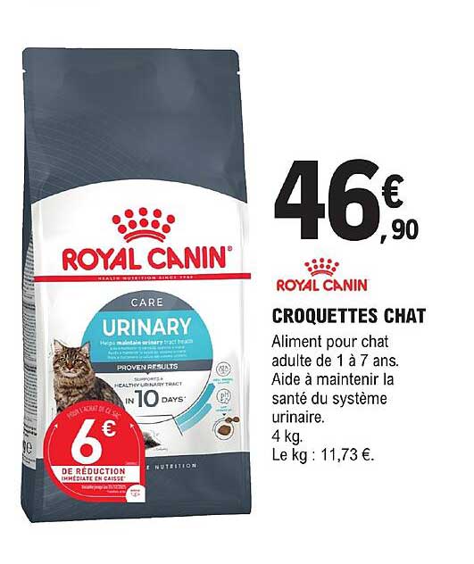 croquettes chat royal canin