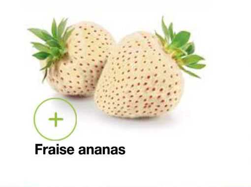Fraise Ananas