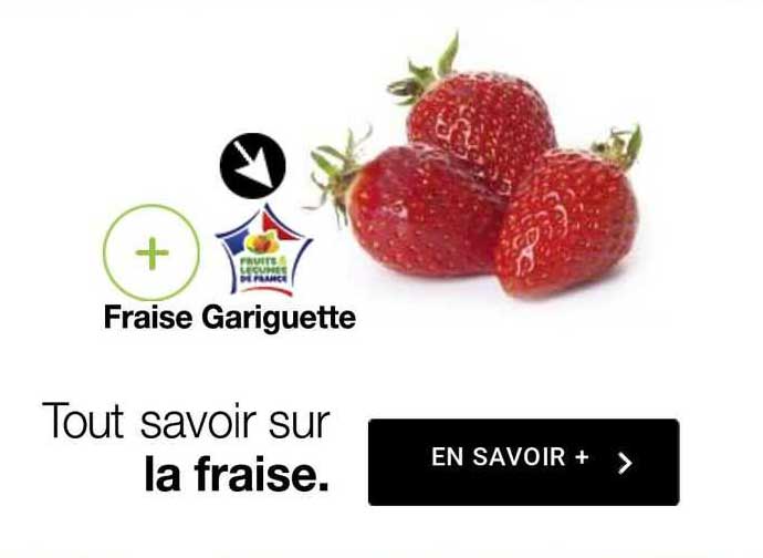 fraise gariguette