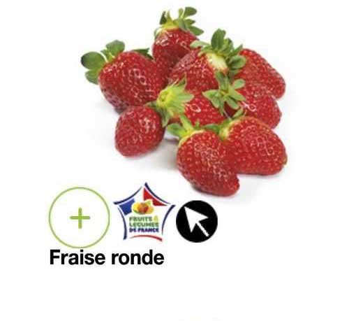 Fraise Ronde