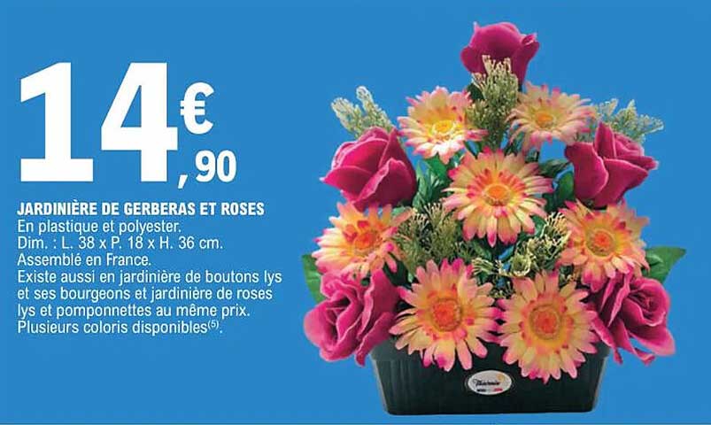Jardinière De Gerberas Et Roses