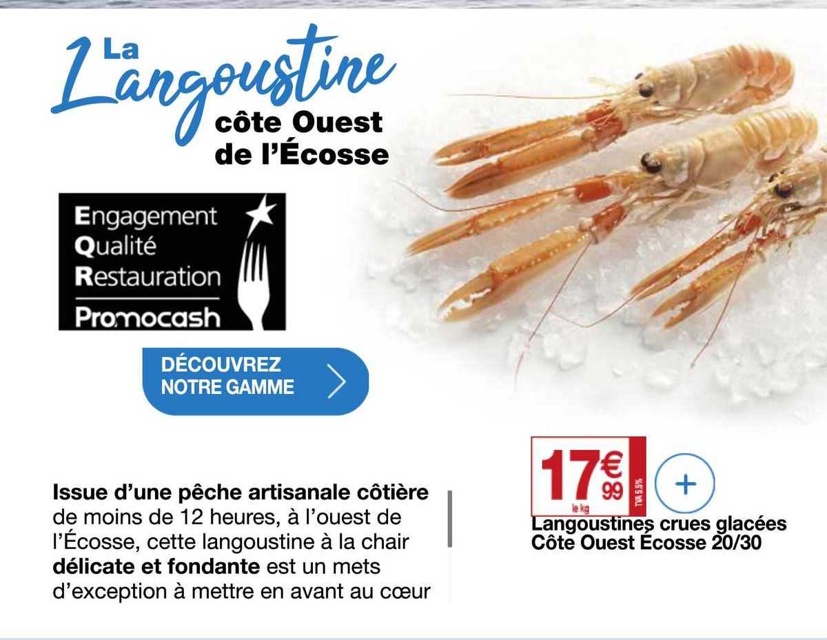 langoustines crues glacées côte ouest écosse 20/30