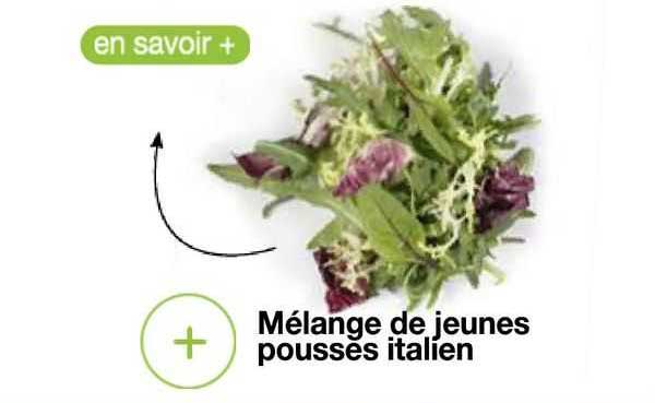 mélange de jeunes pousses italien