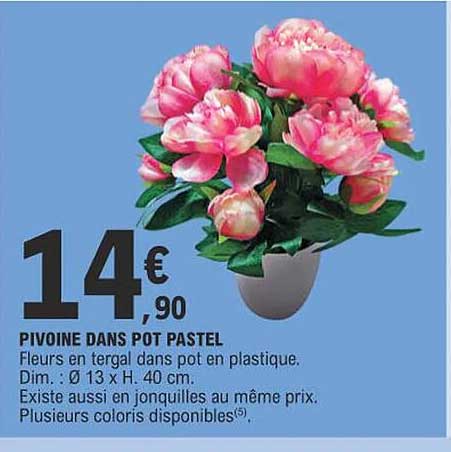 pivoine dans pot pastel