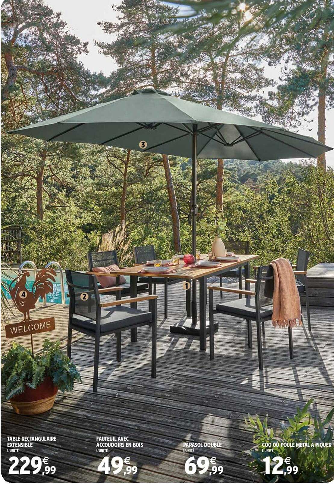 table rectangulaire extensible, fauteuil avec accoudoirs en bois, parasol double , coq ou poule métal à piquer