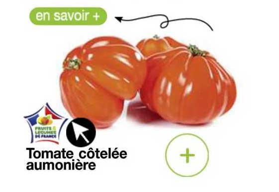 tomate côtelée aumonière
