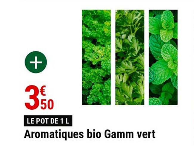 aromatiques bio gamm vert